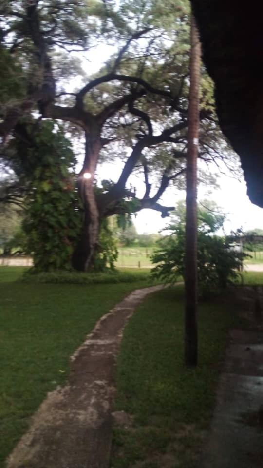 Camp Hogo Kavango Rundu Bagian luar foto