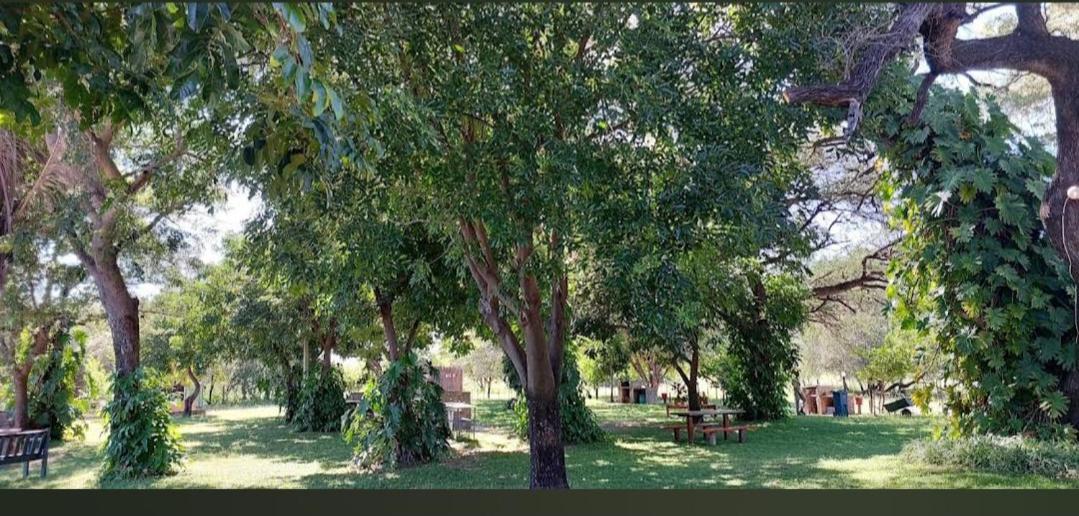 Camp Hogo Kavango Rundu Bagian luar foto
