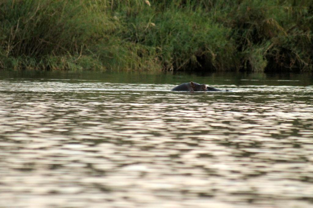 Camp Hogo Kavango Rundu Bagian luar foto