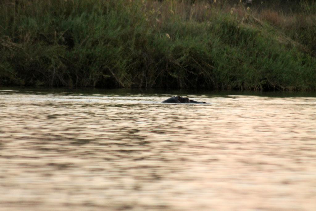 Camp Hogo Kavango Rundu Bagian luar foto